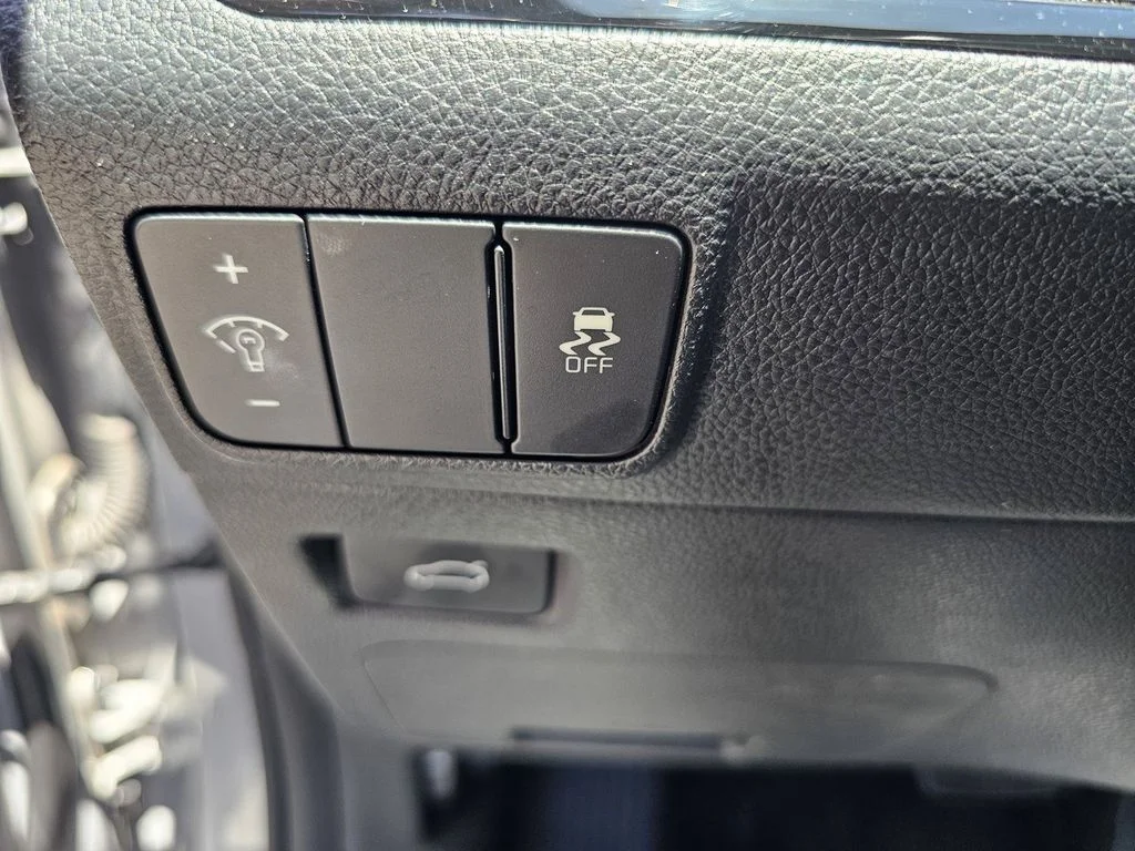 Used 2025 Wolf Gray Kia GT-Line image 23