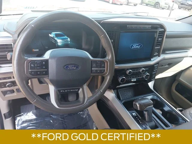 Used 2024 Red Ford Platinum image 16