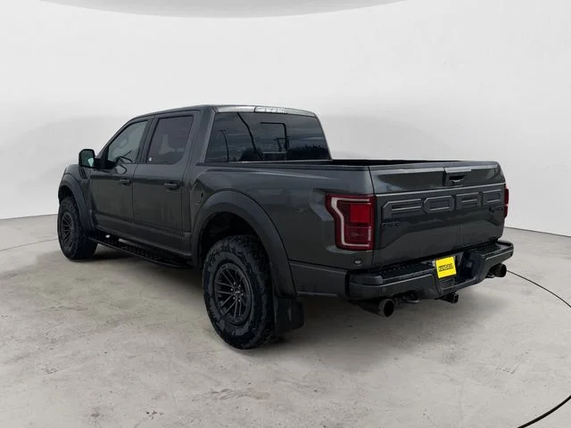 Used 2019 Magnetic Ford Raptor image 3