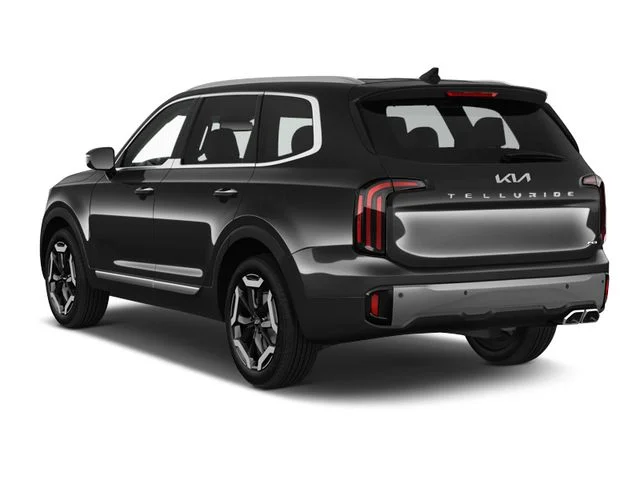 Used 2025 Panthera Metal Kia S image 2