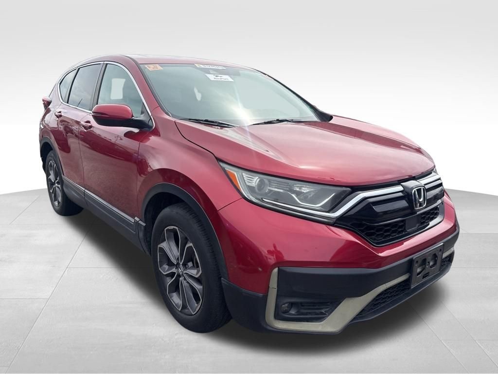 Used 2020 Gray Honda EX-L image 6