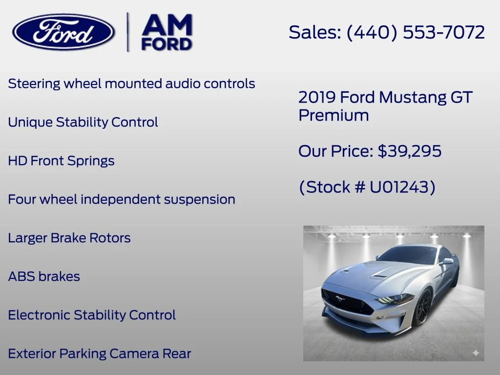 Used 2019 Ingot Silver Ford GT Premium image 21
