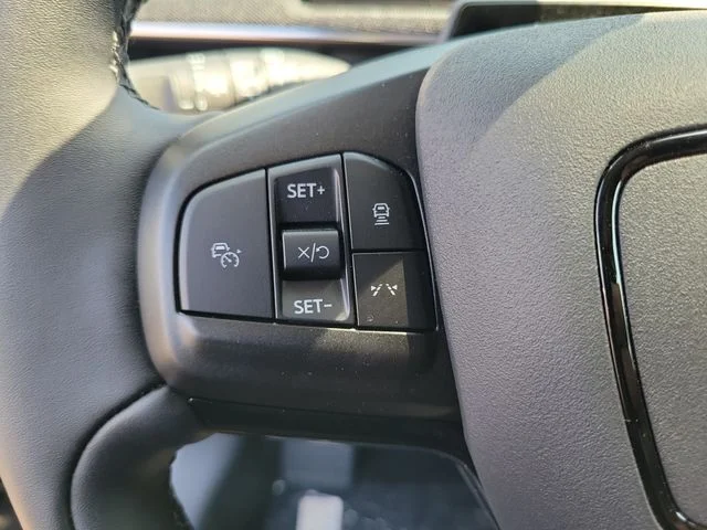 New 2026 Shadow Black Ford Premium image 22