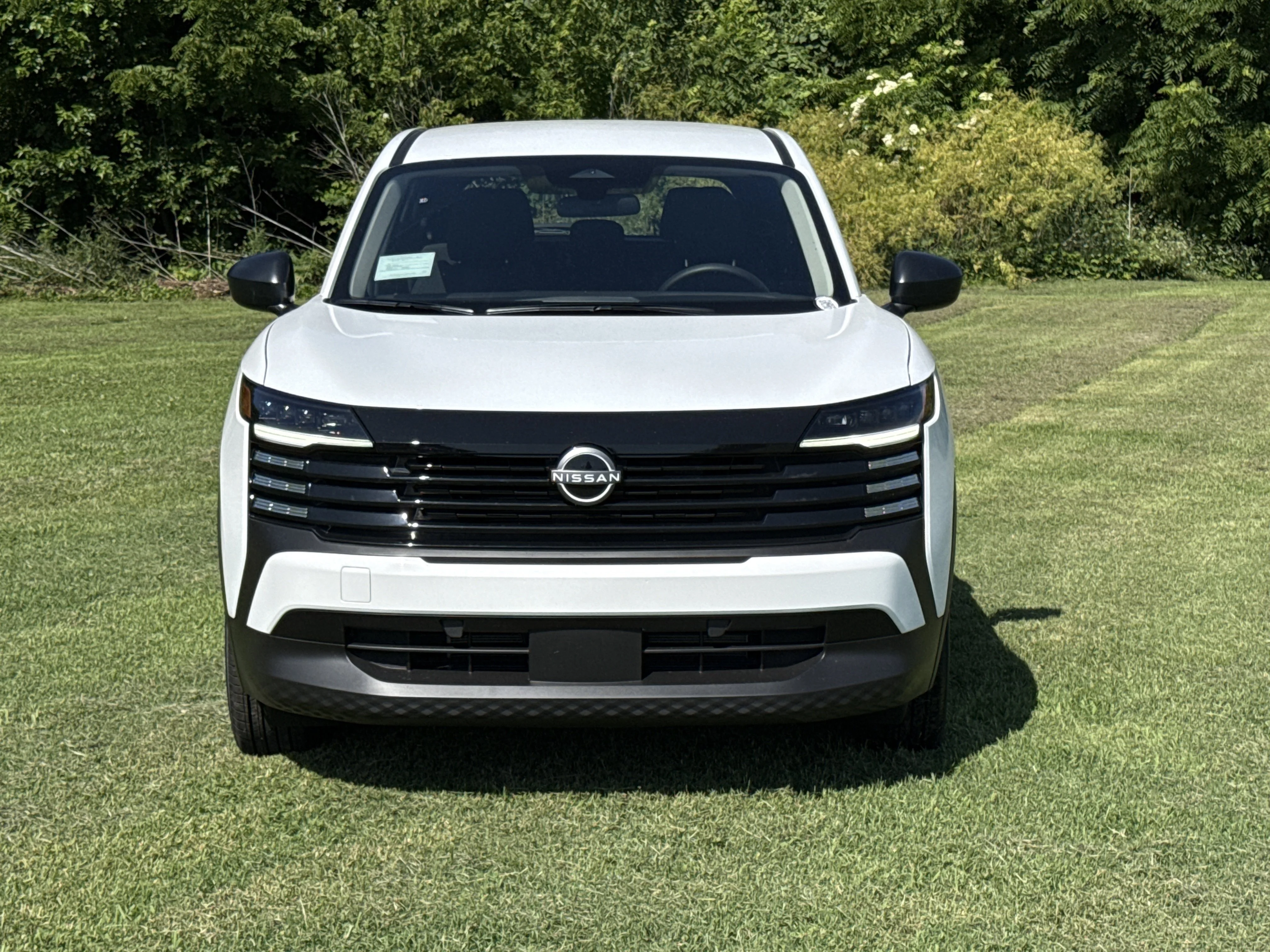 New 2026 Fresh Powder Nissan S image 12