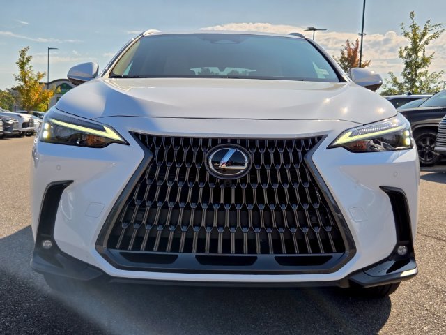 Certified Used 2026 White Lexus 350h Premium image 7