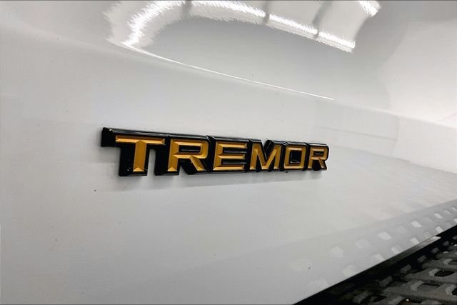 2025 Ford Expedition Tremor - Photo 37