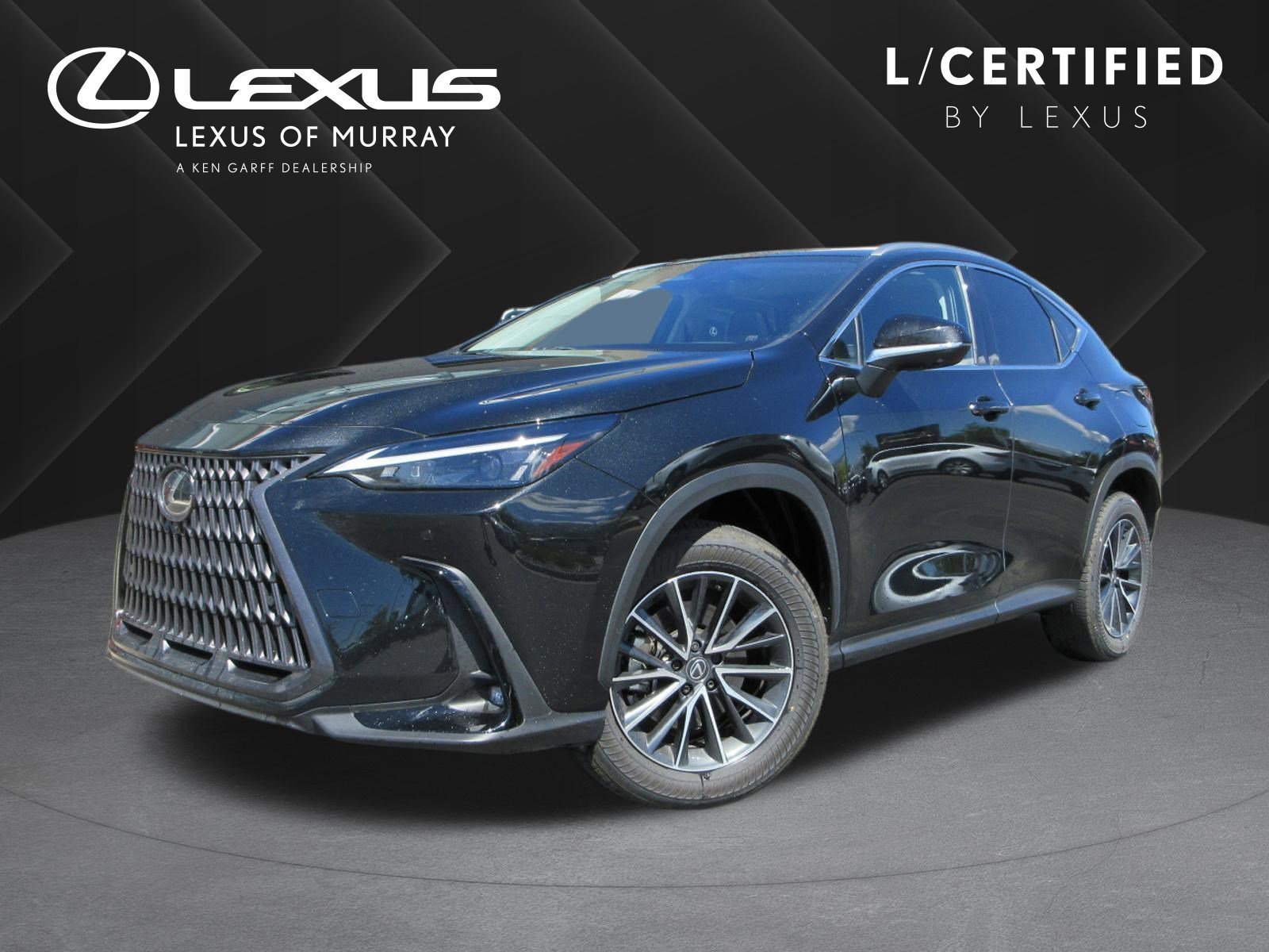 2025 Lexus NX 350h 350h Premium AWD's photo