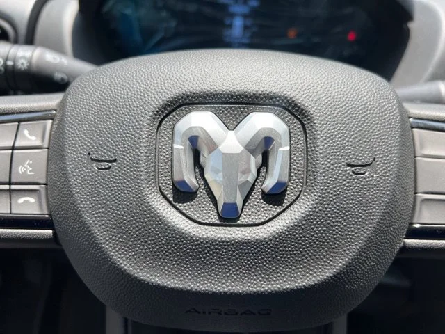Used 2025 Black Ram Low Roof image 16