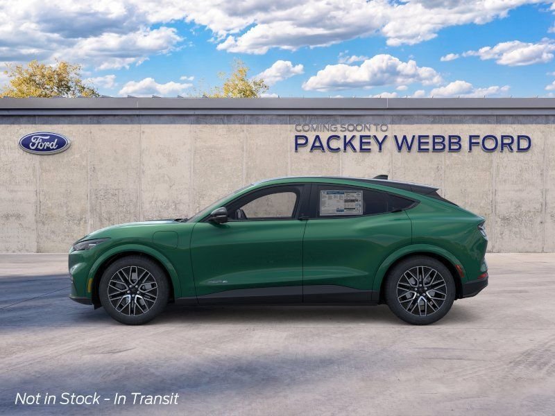 New 2026 Eruption Green Metallic Ford Premium image 4