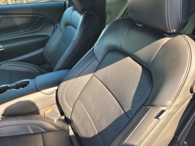 Used 2024 Gray Ford EcoBoost Premium image 13