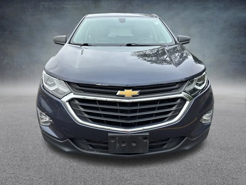 Used 2019 Blue Chevrolet LS image 9