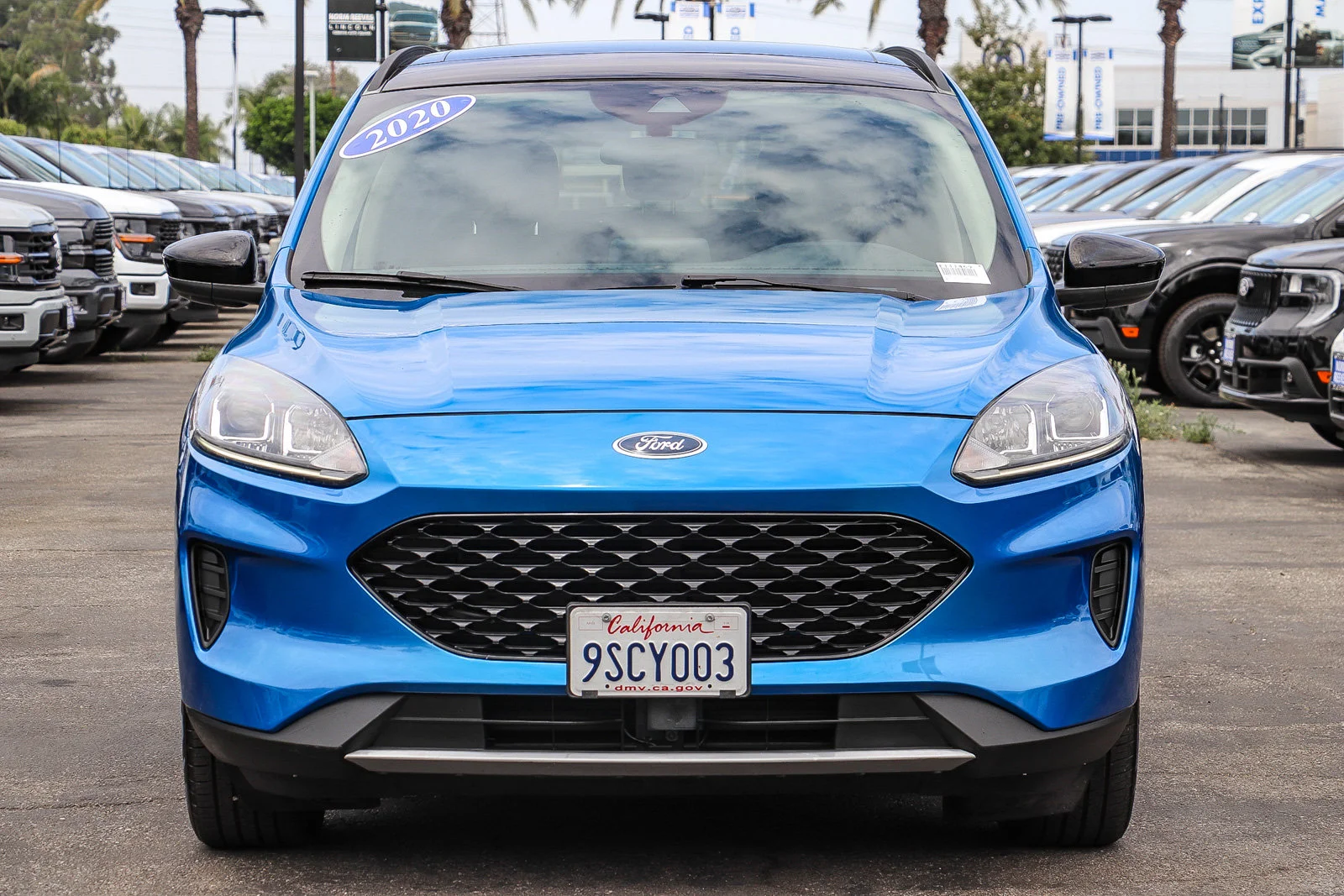 Certified Used 2020 Blue Metallic Ford SE Sport Hybrid image 2