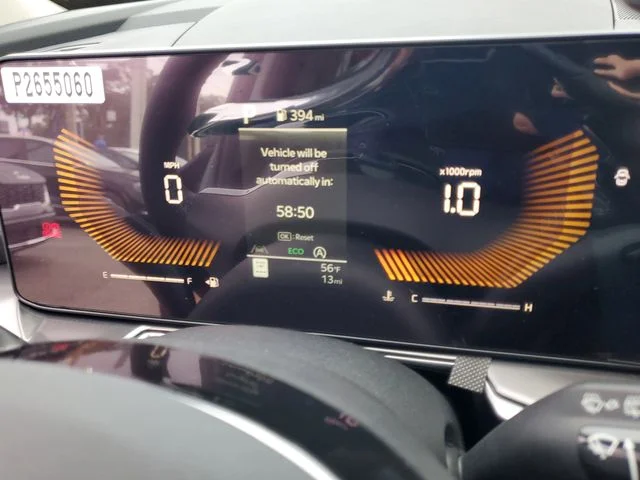 New 2025 Panthera Metal Kia S image 14