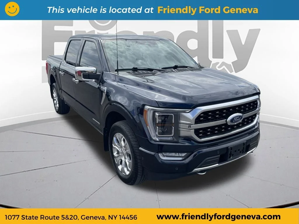 Used 2023 Blue Ford Platinum image 3