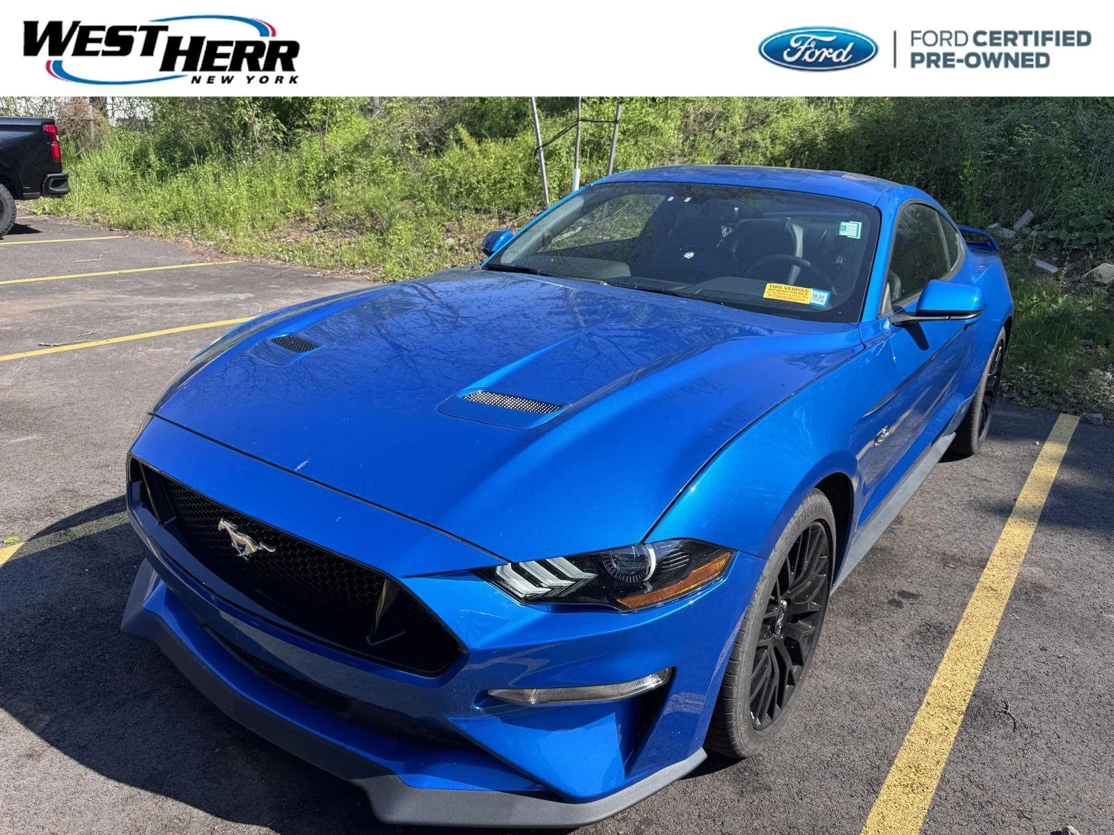 2019 Ford Mustang GT Coupe Premium's photo