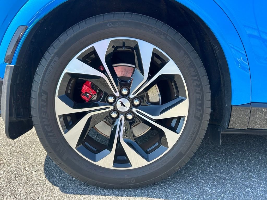 Used 2021 Blue Ford Premium image 14