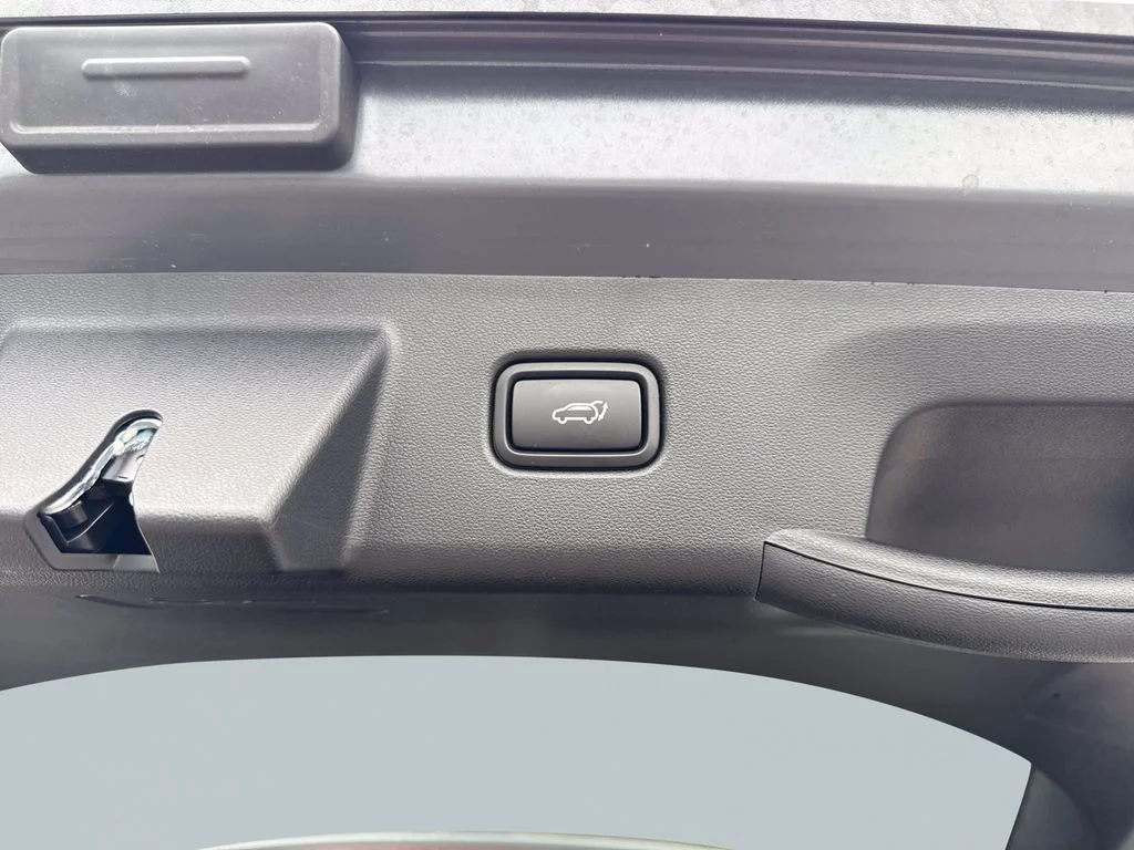 Used 2025 Ecotronic Gray Hyundai Limited image 32