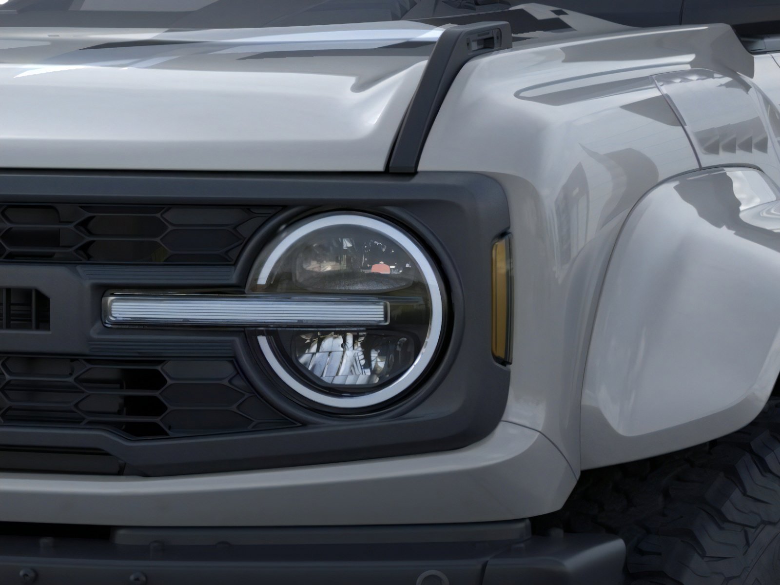 New 2026 Avalanche Gray Ford Raptor® image 20