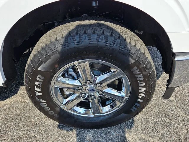 2024 Ford F-150 XLT - Photo 11