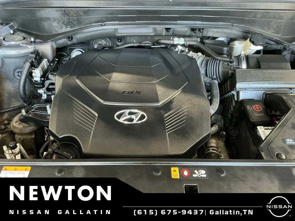 Used 2022 Rainforest Hyundai Calligraphy image 56