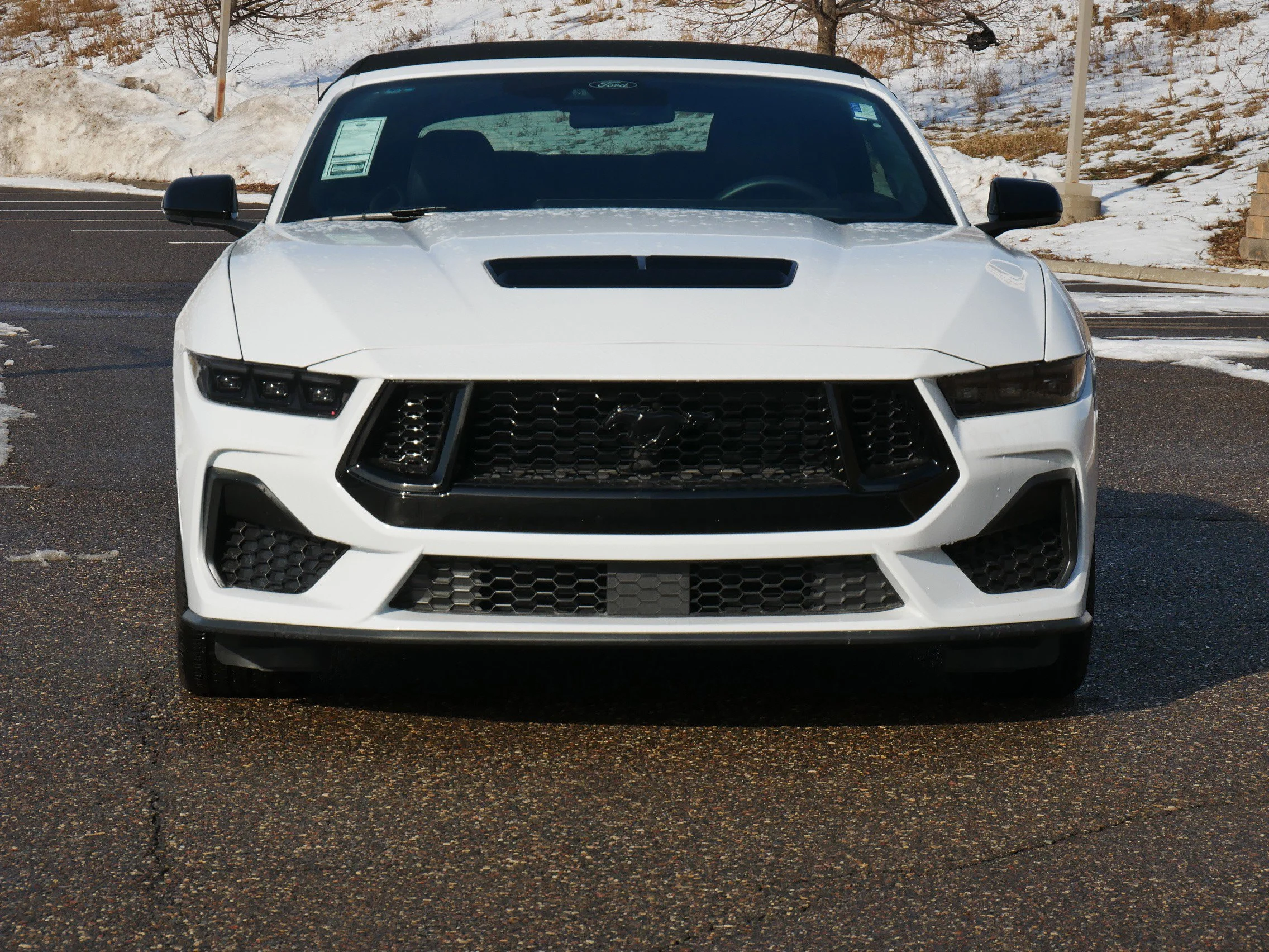 Used 2024 Ford Mustang GT Premium with VIN 1FAGP8FF6R5136319 for sale in Eden Prairie, Minnesota