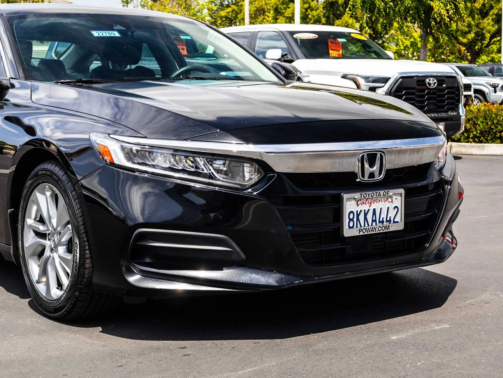 Used 2019 Crystal Black Pearl Honda LX 1.5T image 4
