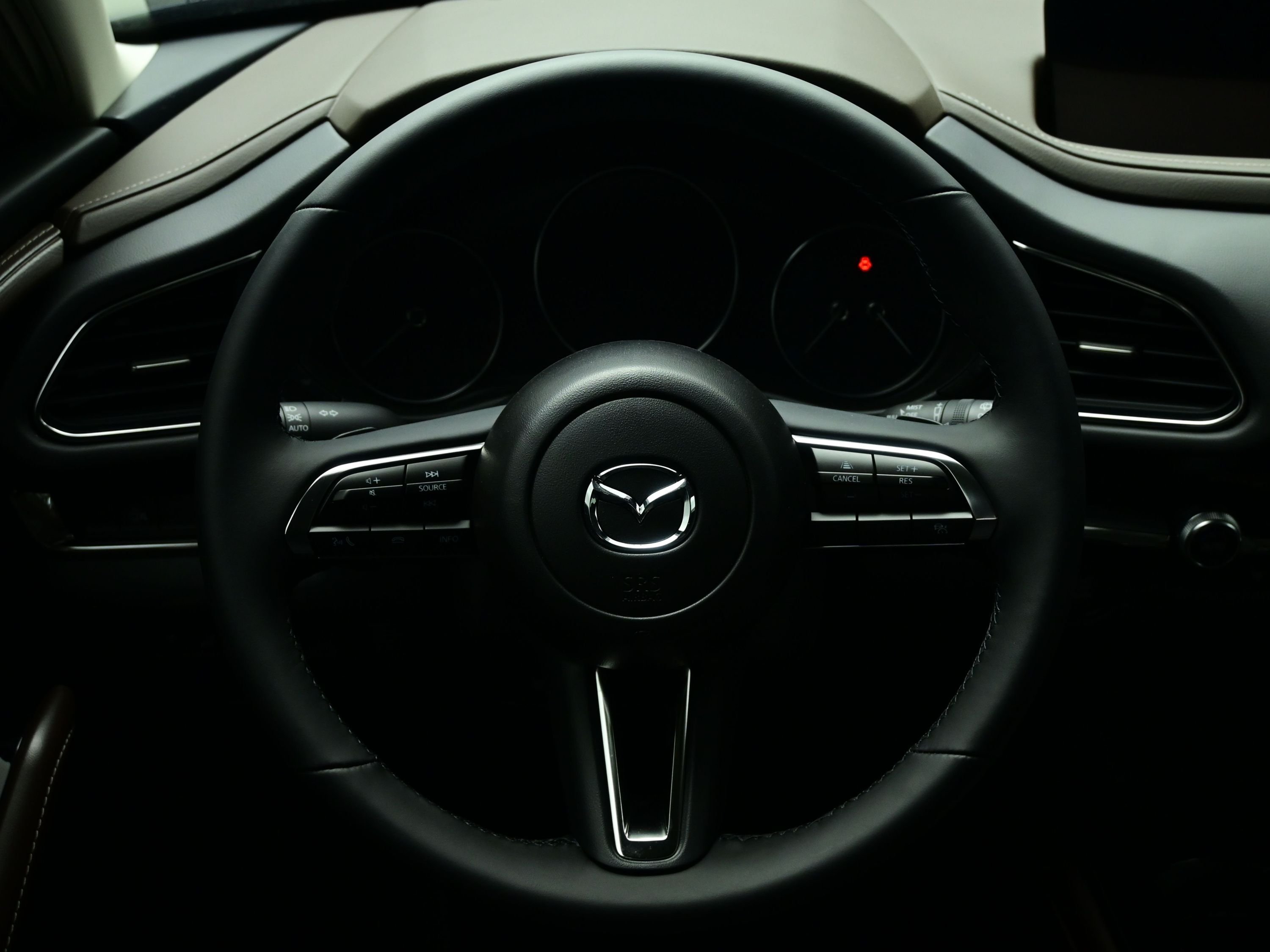 2025 Mazda CX-90 Premium Plus Package - Photo 12