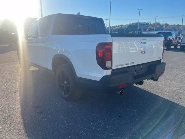 Used 2022 White Honda Black Edition image 5