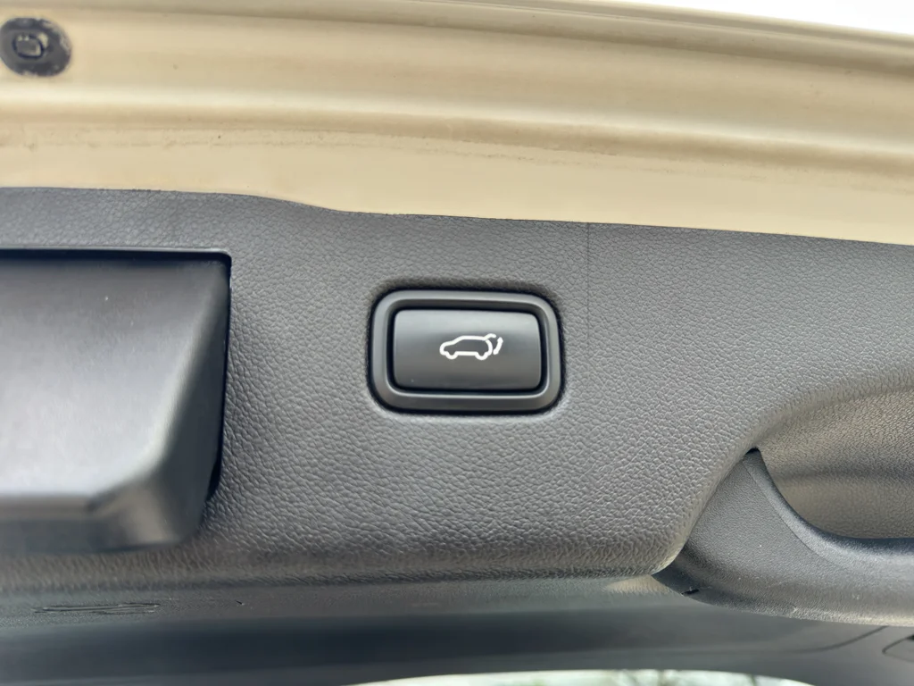 Used 2019 Snow White Pearl Kia SX V6 image 8
