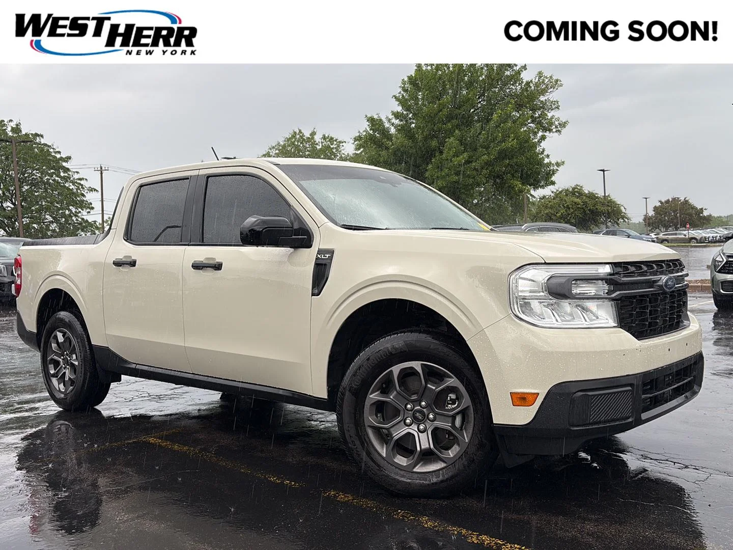 Used 2024 Terrain Ford XLT image 1