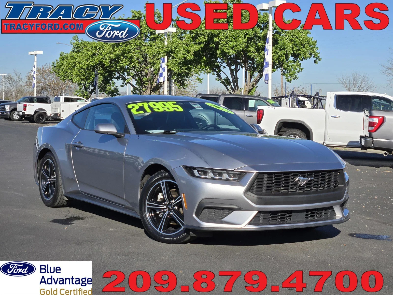 2024 Ford Mustang EcoBoost Fastback's photo