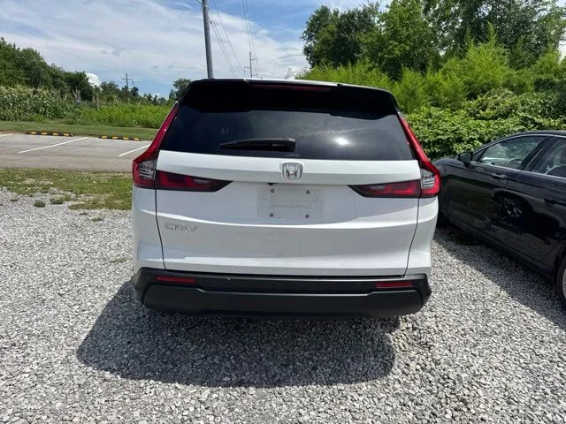 Used 2025 White Honda EX-L image 5