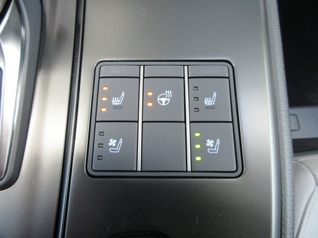 New 2026 Cloudburst Gray Lexus 300h Premium image 51