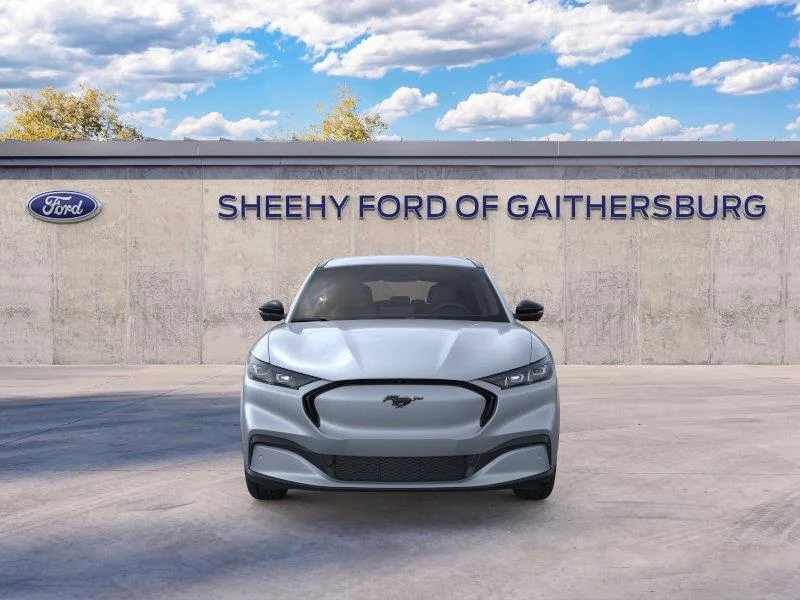 New 2026 Glacier Gray Metallic Tri-coat Ford Premium image 6