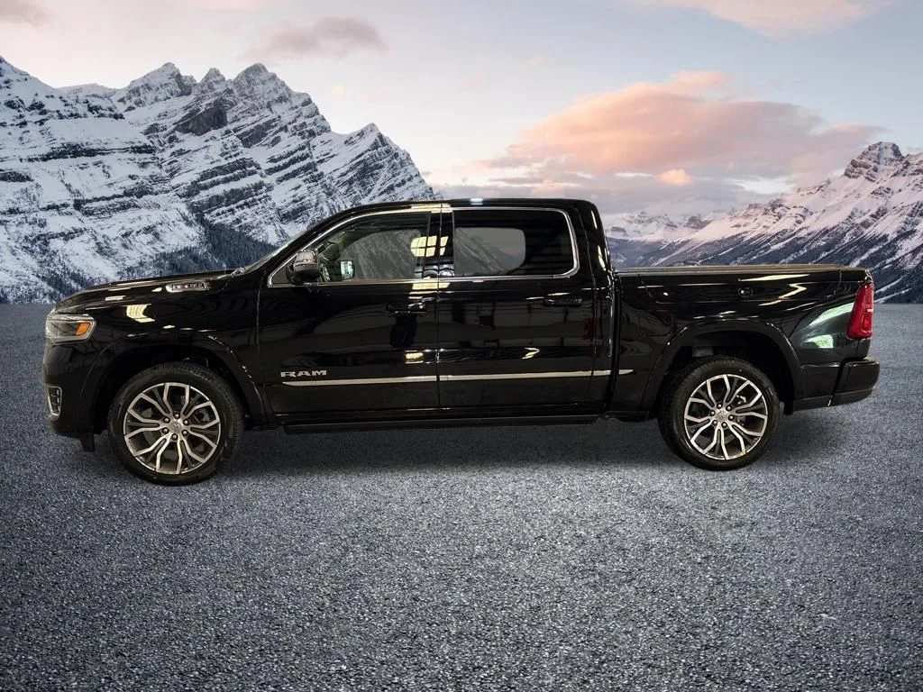 New 2026 Black Ram Tungsten image 2