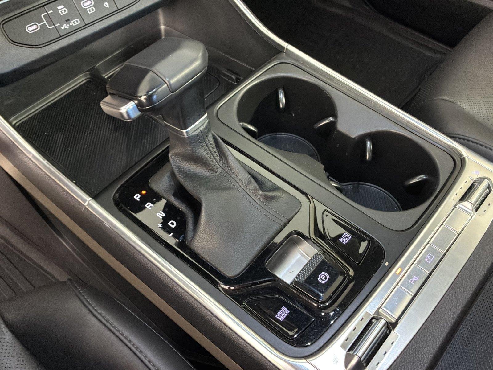 Used 2026 Panthera Metal Kia SX image 35