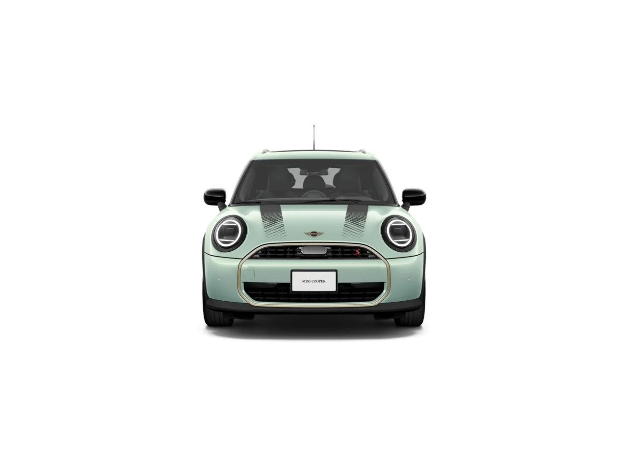 New 2026 Ocean Wave Green Metallic MINI SIGNATURE PLUS image 2