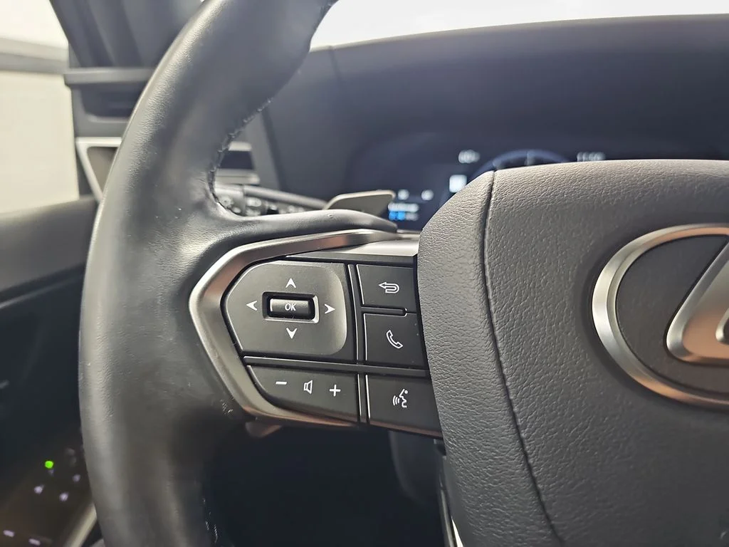 Used 2024 INCOGNITO Lexus 550 Overtrail image 19