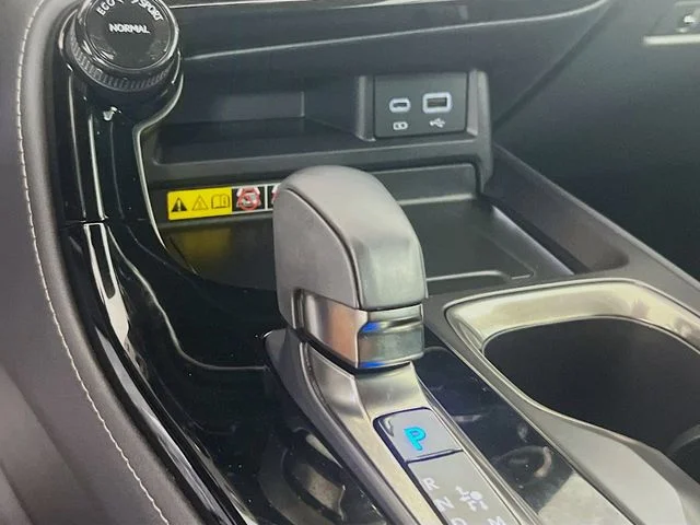 Used 2025 Grecian Water Lexus 250 Premium image 15