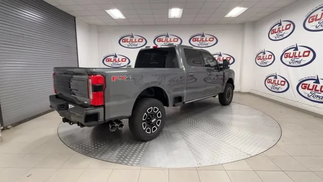 New 2026 Carbonized Gray Metallic Ford Platinum image 10