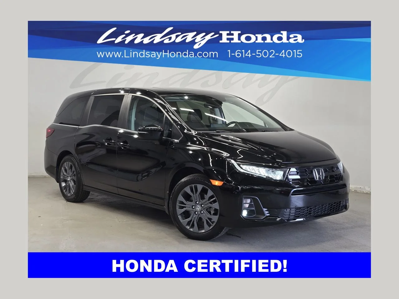 2025 Honda Odyssey Touring's photo
