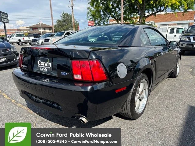 Used 2001 Black Ford GT image 5