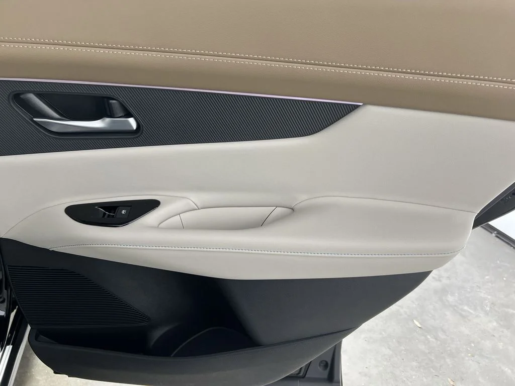 New 2026 Super Black Nissan Platinum image 31