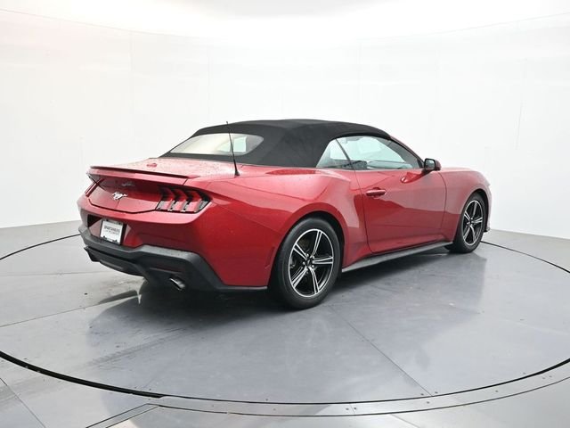 Used 2024 Red Ford EcoBoost Premium image 7