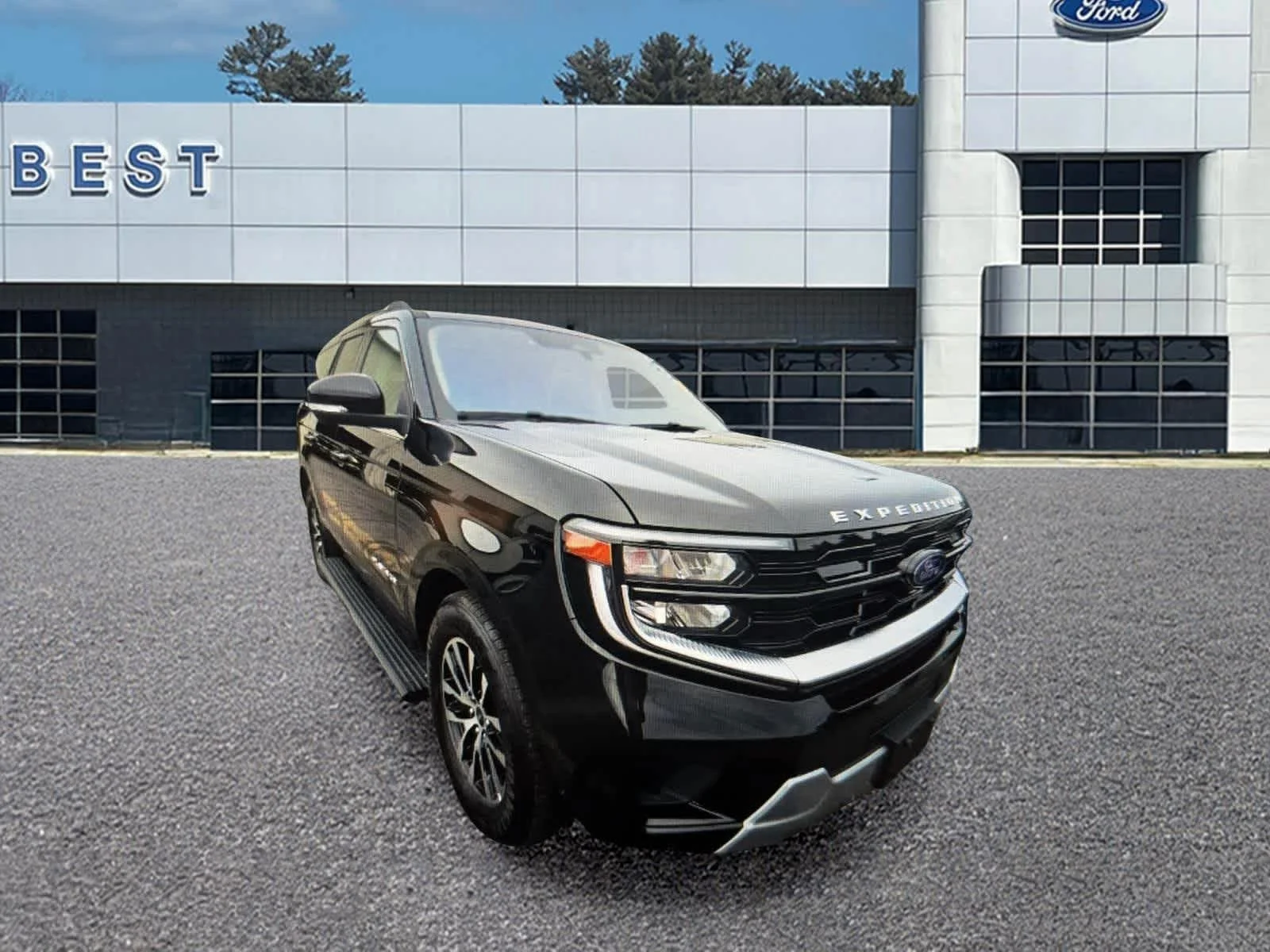 2025 Ford Expedition Platinum 4x4's photo