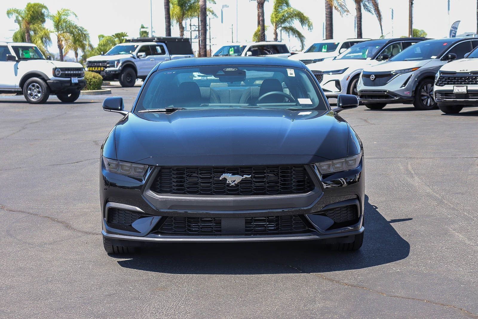 New 2026 Shadow Black Ford EcoBoost® Fastback image 2