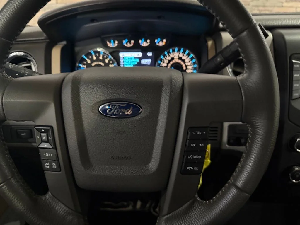 Used 2014 Sunset Ford XLT image 16