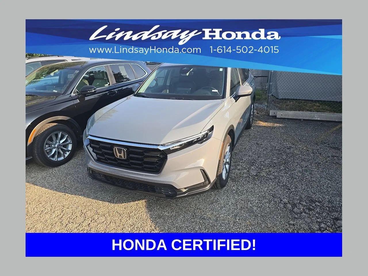 Certified Used 2025 Urban Gray Pearl Honda EX-L image 6