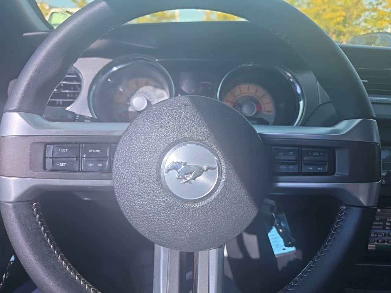 Used 2010  Ford GT Premium image 19