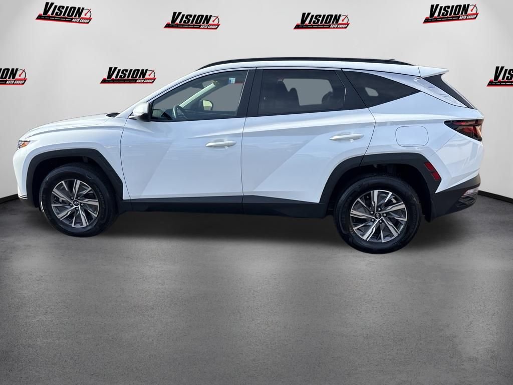 Used 2024 White Hyundai Blue image 8